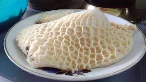 Tổ ong bò (dạ dày)